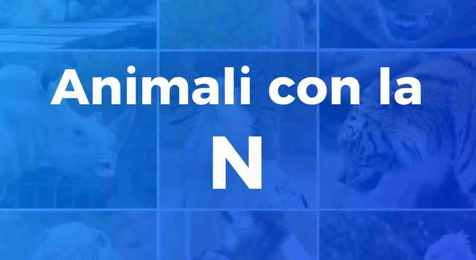 Animali con la N