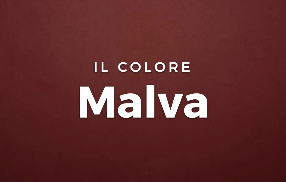 Colore Malva