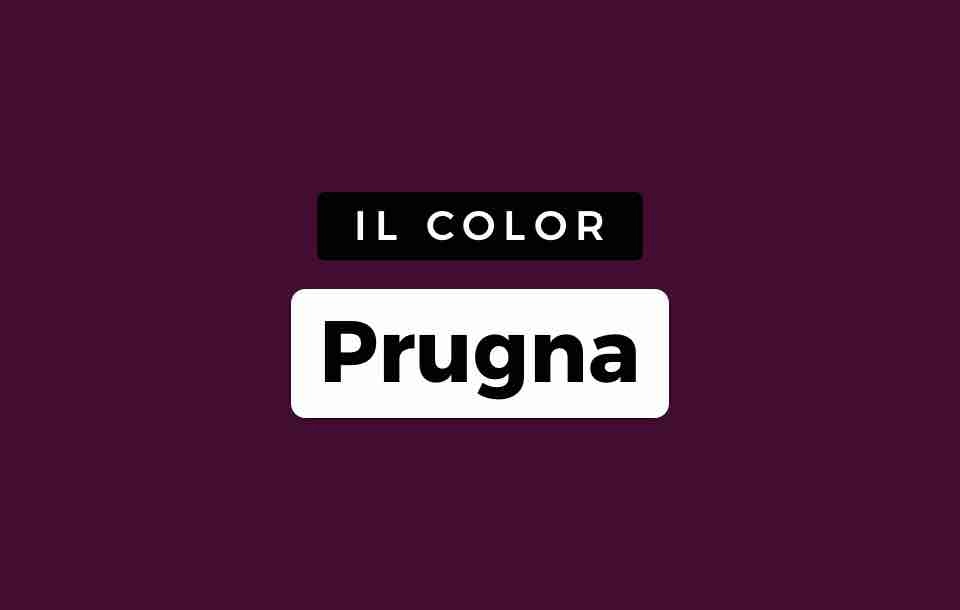 Color Prugna
