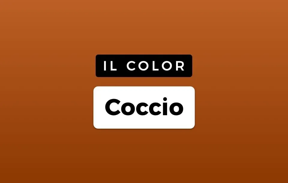Colore Coccio