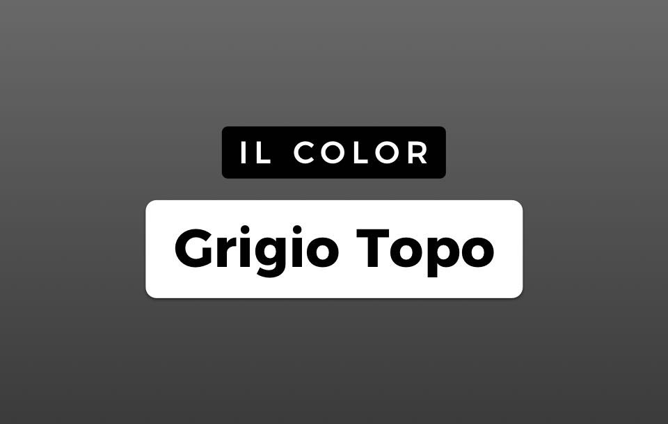 Colore Grigio Topo