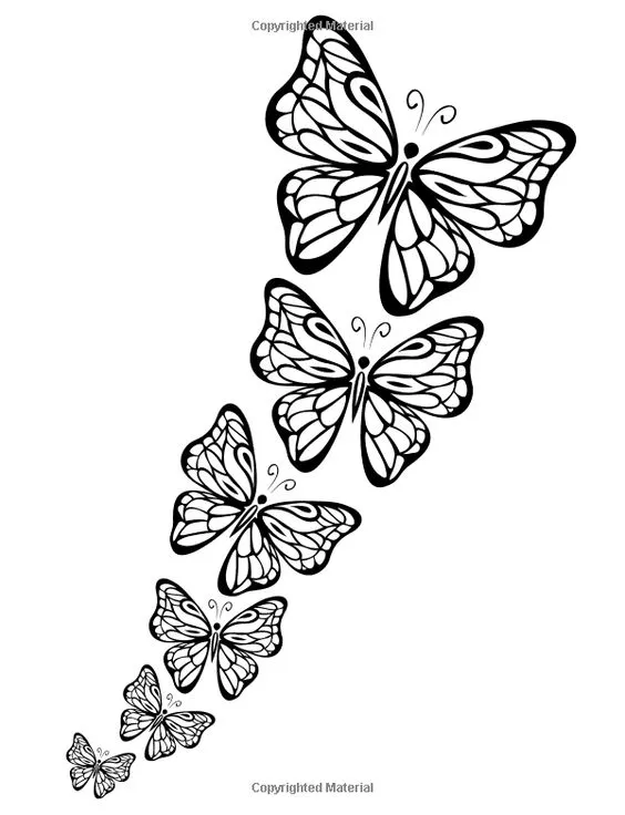 farfalle bianco e nero