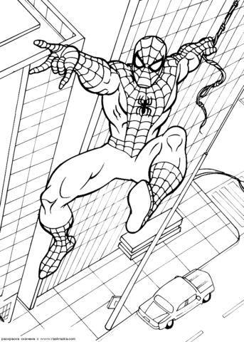 spiderman matita