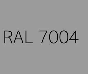 RAL 7004