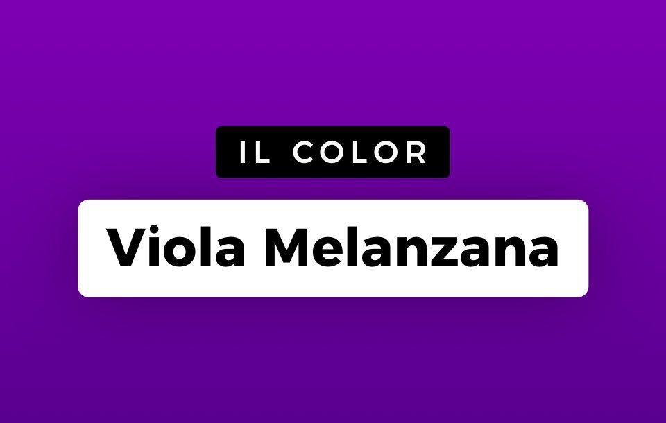 Viola Melanzana