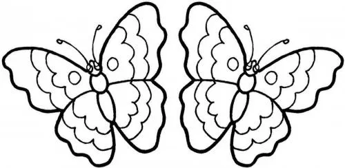 farfalle disegni