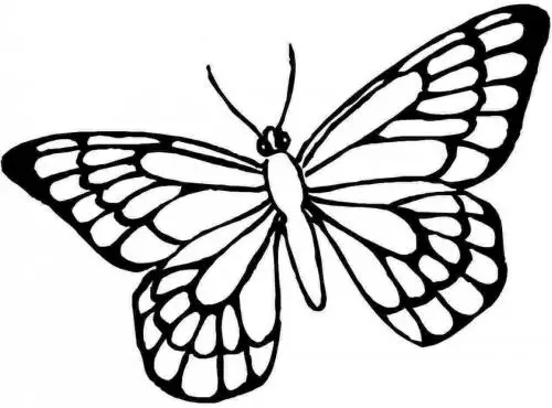 farfalle disegno