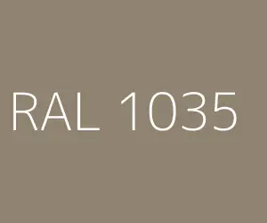 RAL 1035