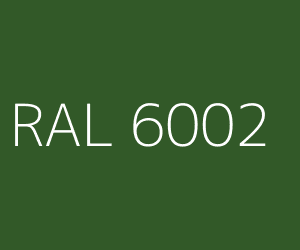 RAL 6002 1