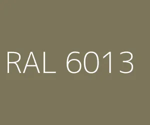 RAL 6013