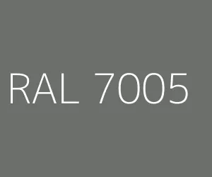 RAL 7005