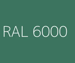 ral 6000