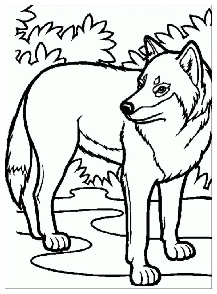 coloring pages for children wolf 31379